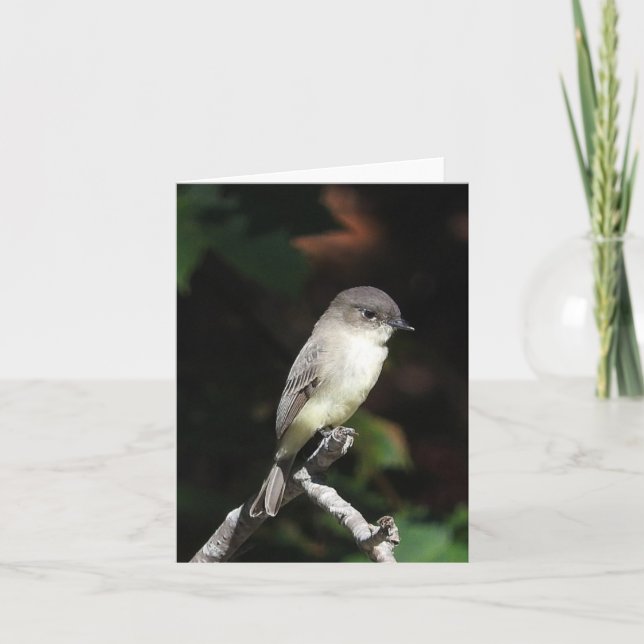 Ungefär Phoebe in Kort (Framsida)