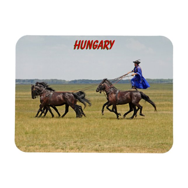 Ungern, hästkött och hästar magnet (Horisontell)