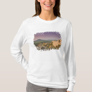 UNGERN, Lake Balaton-regionen, SZIGLIGET: Tee