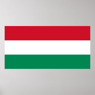 Ungern - ungersk medborgareflagga poster