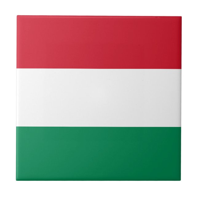 Ungernflagga Kakelplatta (Framsidan)