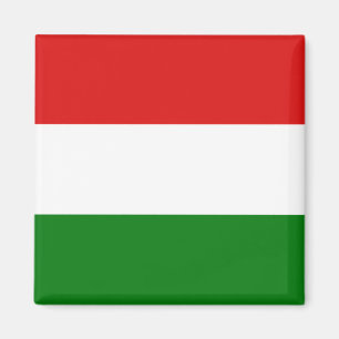 Ungernflaggamagnet Magnet