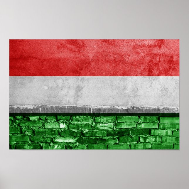 Ungerns flagga poster (Framsidan)