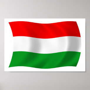 Ungerns Flagga Poster utskrift