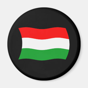 Ungerns flaggmagnet magnet