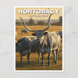 Ungerns Hortobagy nationalpark Travel Vykort