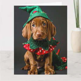 Ungerns Vizla Elf Puppy-julkort Kort