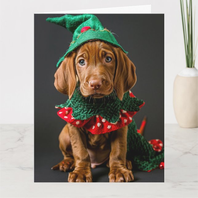 Ungerns Vizla Elf Puppy-julkort Kort (Framsida)