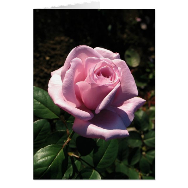 Ungersk-Boldog születésnapot Hälsningskort (Framsidan)