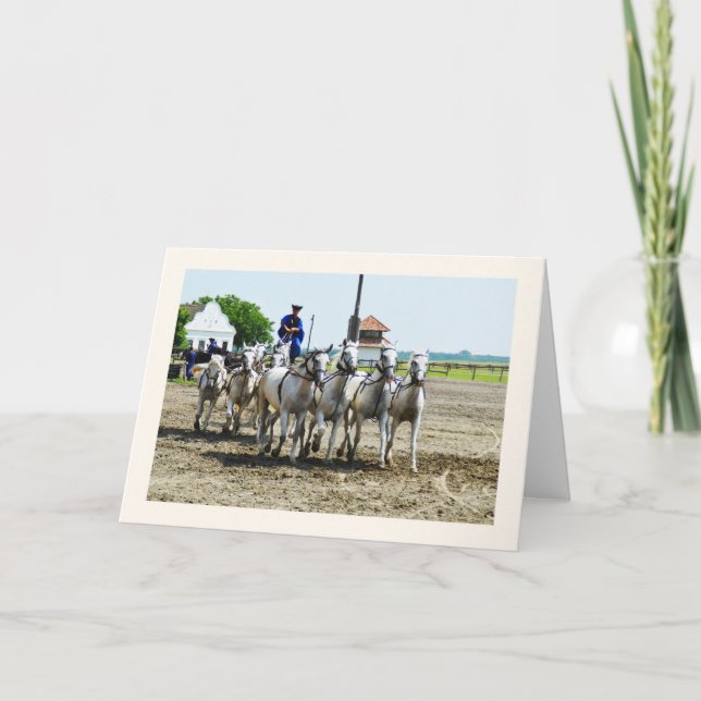 Ungersk häst ridning kort (Framsida)