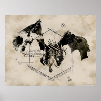 Ungersk hornsvansdrake poster