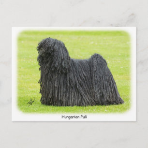 Ungersk Puli 9R71D-101 Vykort