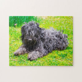 Ungersk Puli Hund. Pussel