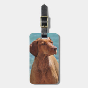 Ungersk Vizsla Hund Bagagebricka