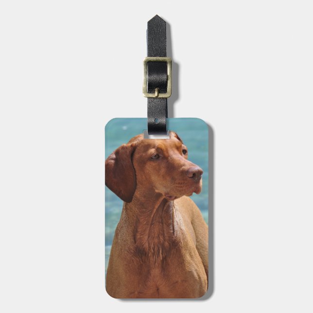 Ungersk Vizsla Hund Bagagebricka (Vertikal Framsida)
