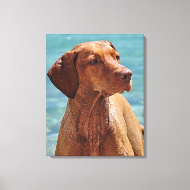 Ungersk Vizsla Hund Canvastryck (Framsida)