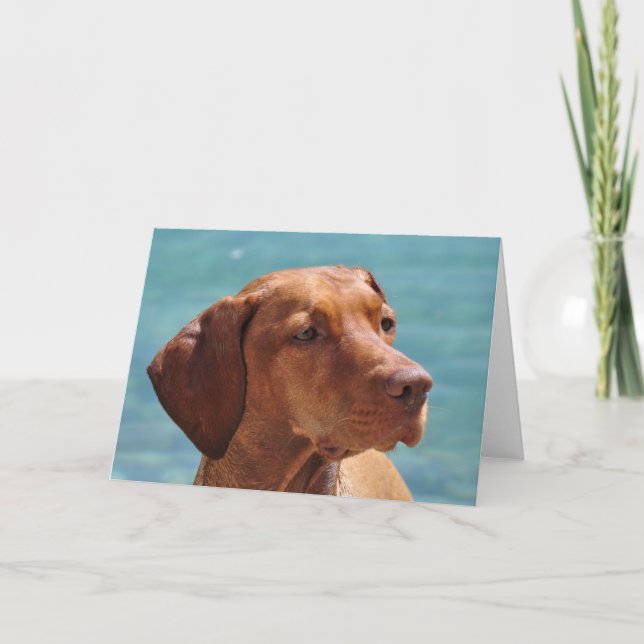 Ungersk Vizsla Hund Kort (Framsida)