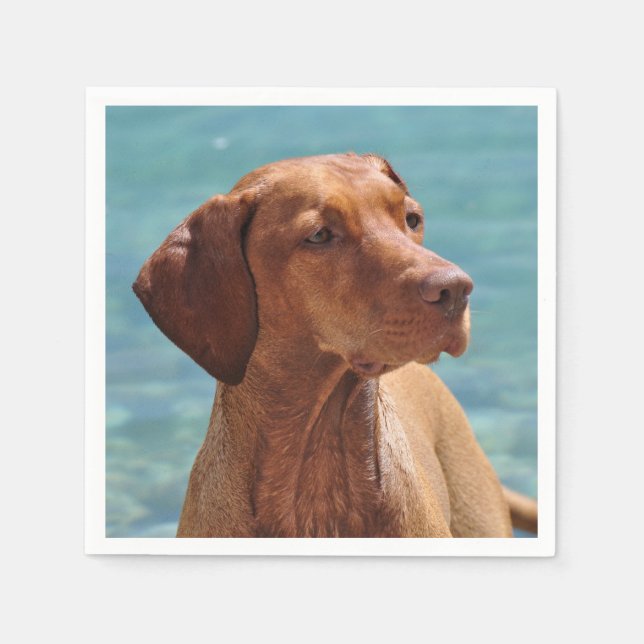 Ungersk Vizsla Hund Pappersservett (Framsidan)