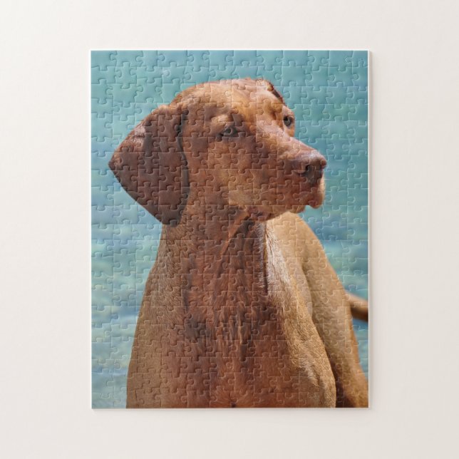 Ungersk Vizsla Hund Pussel (Vertikal)