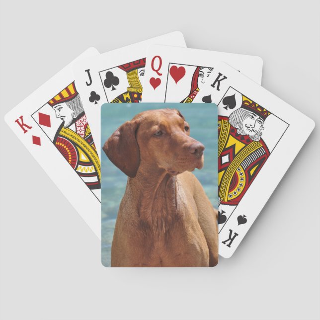 Ungersk Vizsla Hund Spelkort (Baksidan)