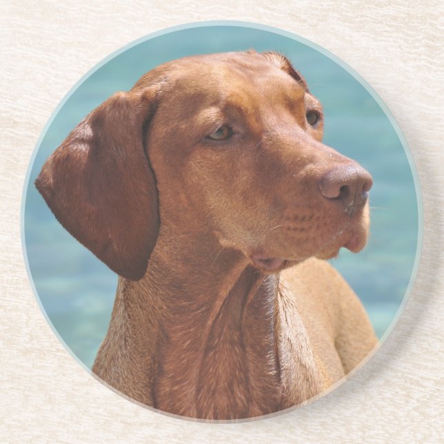 Ungersk Vizsla Hund Underlägg Sandsten (Framsidan)