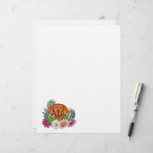 Ungersk Vizsla-huvud med färgglomma sommarblommor Brevhuvud