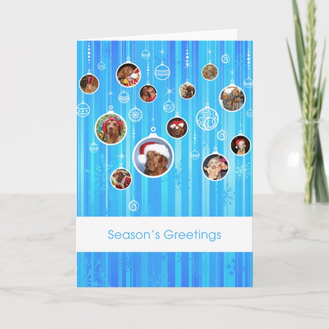 Ungersk Vizsla julkort 009 Helgkort (Framsida)