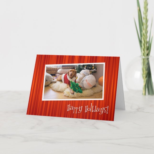 Ungersk Vizsla julkort 010 Helgkort (Framsida)