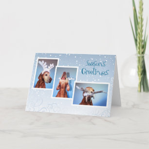 Ungersk Vizsla julkort 011 Helgkort