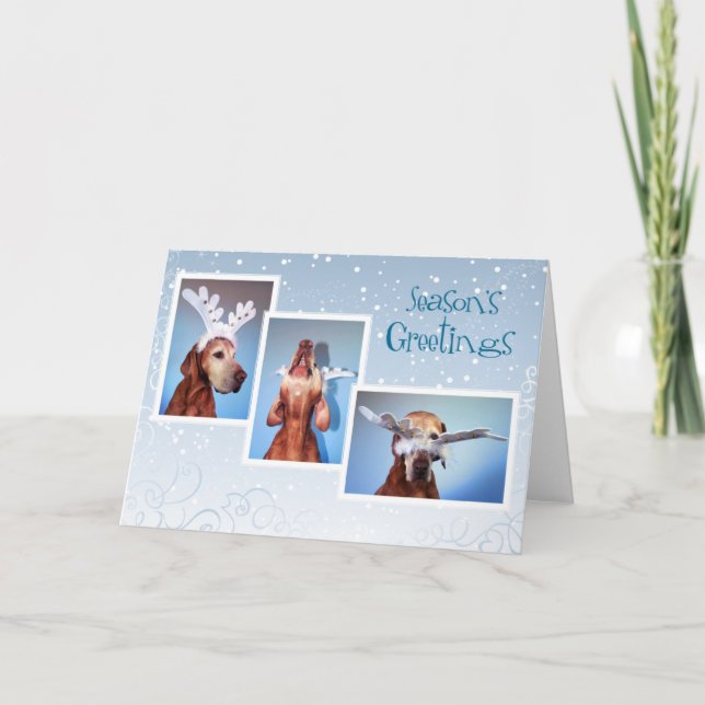 Ungersk Vizsla julkort 011 Helgkort (Framsida)