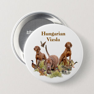 Ungersk Vizsla Knapp