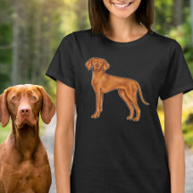 Ungersk Vizsla Pointer Hund Tecknad Illustration