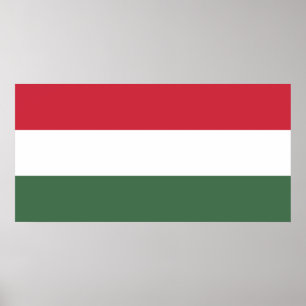 Ungerska Flagga Poster