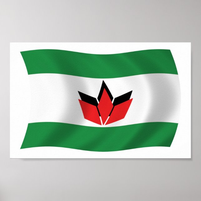 Ungerska Folkets Flagga Postertryck Poster (Framsidan)