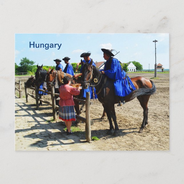 Ungerska hästupplopp i Ungern Vykort (Framsida)