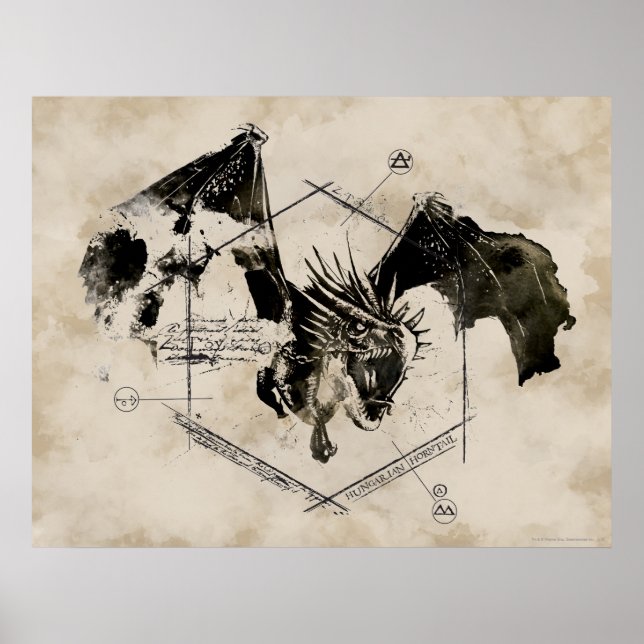 Ungerska Horntail Dragon Poster (Framsidan)