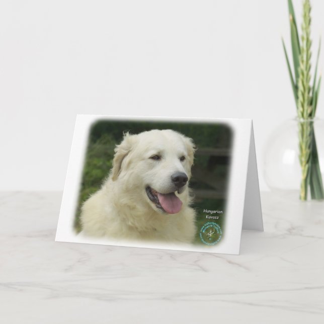 Ungerska Kuvasz 8W02-17 Kort (Framsida)