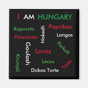 Ungerska matar magnet