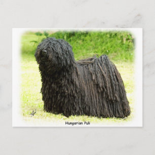 Ungerska Puli 8W48D-03 Vykort