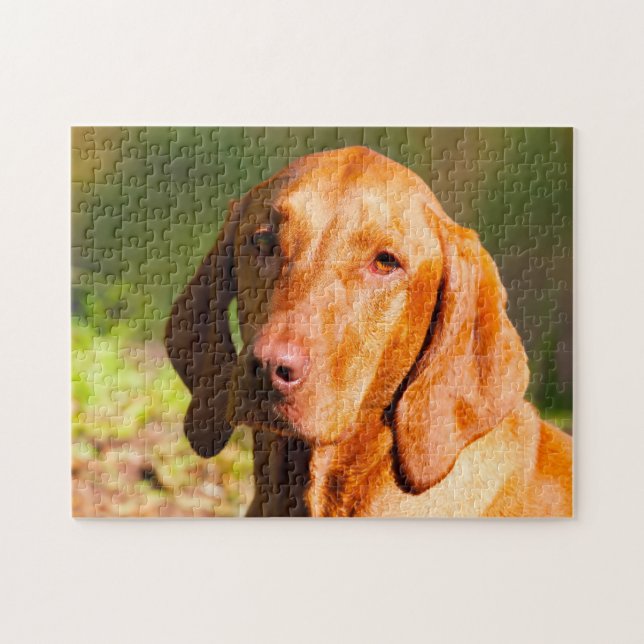 Ungerska Vizla Hund Jigsaws. Pussel (Horisontell)
