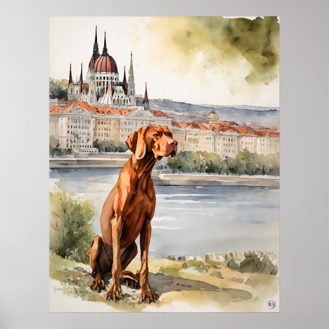 Ungerska Vizsla - Hund Art Print Poster (Framsidan)