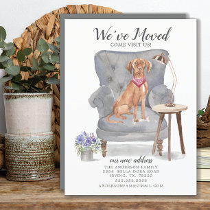Ungerska Vizsla Hund Meddelande om Flytta