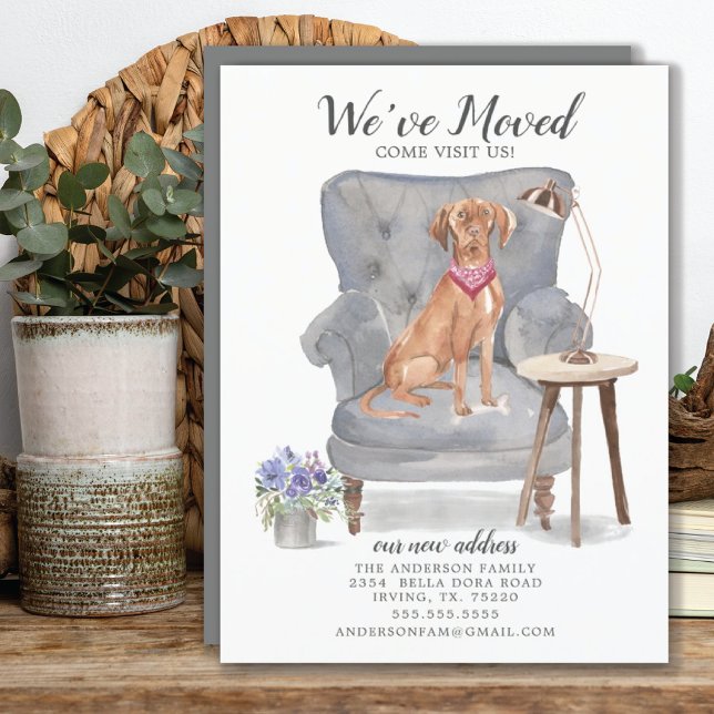 Ungerska Vizsla Hund | Meddelande om Flytta (Skapare uppladdad)