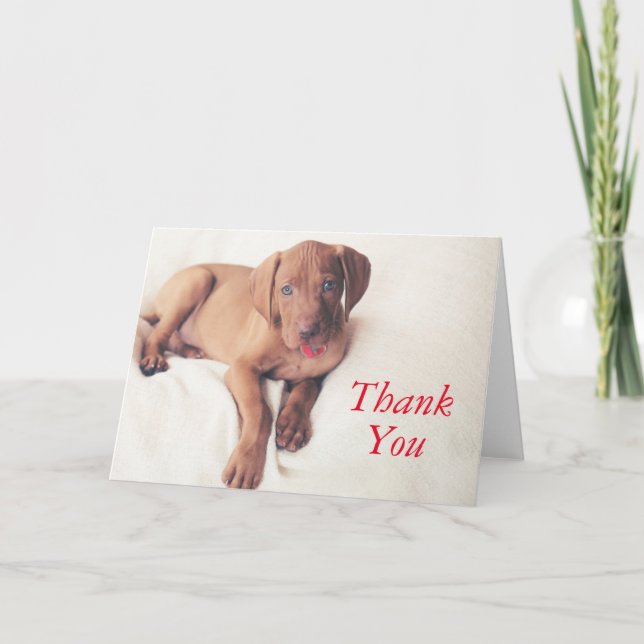 ungerska Vizsla Puppy Tack Kort (Framsida)