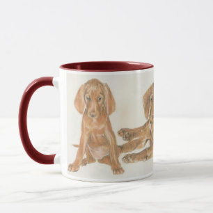 Ungerska Vizsla valpar Mugg