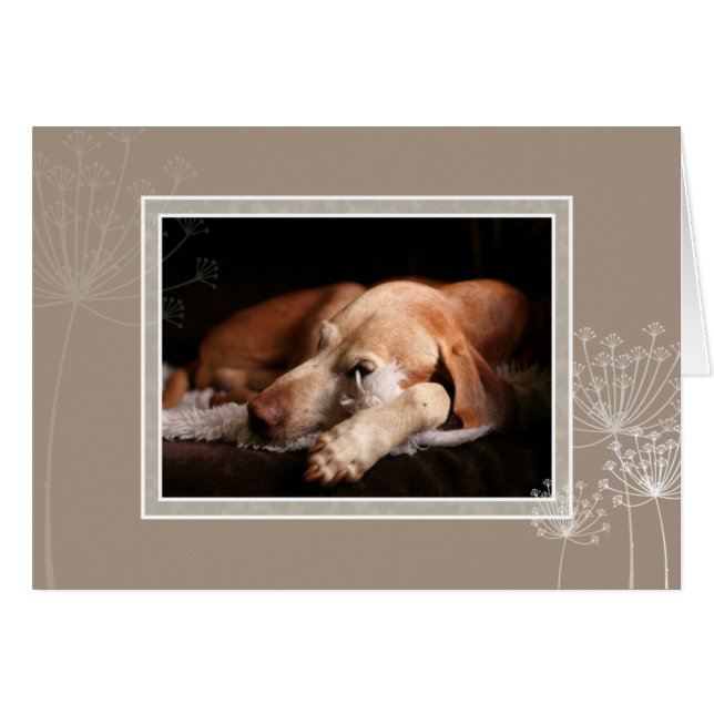 Ungerskt Vizsla tomt kort 004 (Framsidan Horizontal)