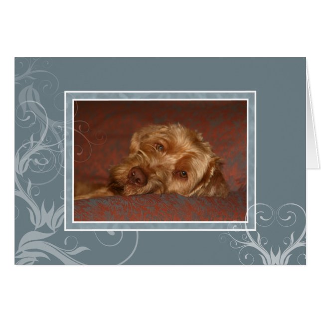 Ungerskt Vizsla tomt kort 005 (Framsidan Horizontal)