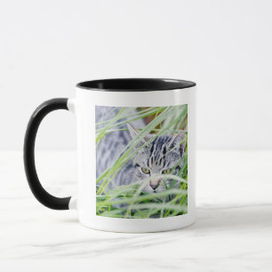 ungt kattporträtt mugg