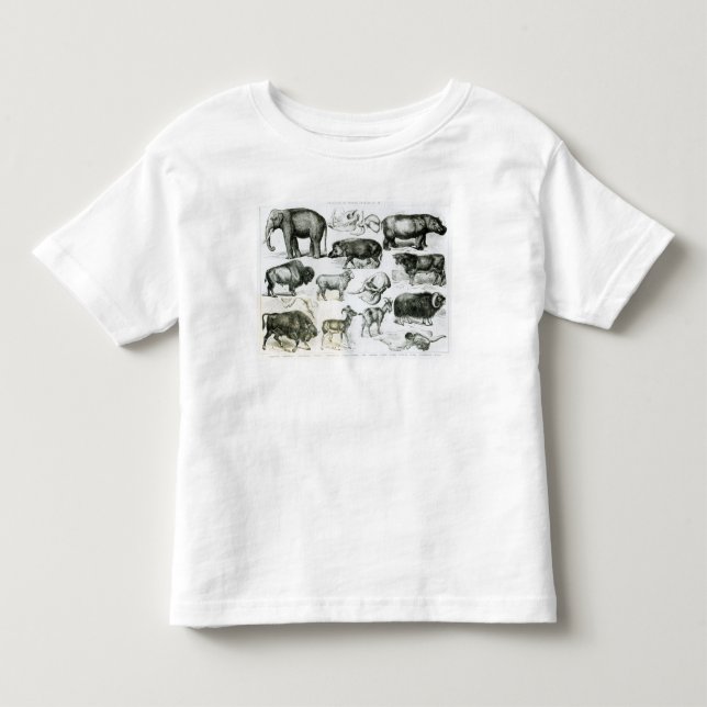 Ungulata eller traskade djur t-shirt (Framsida)