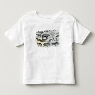 Ungulata eller traskade djur tee shirt